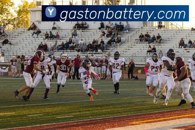 AI Risk Control